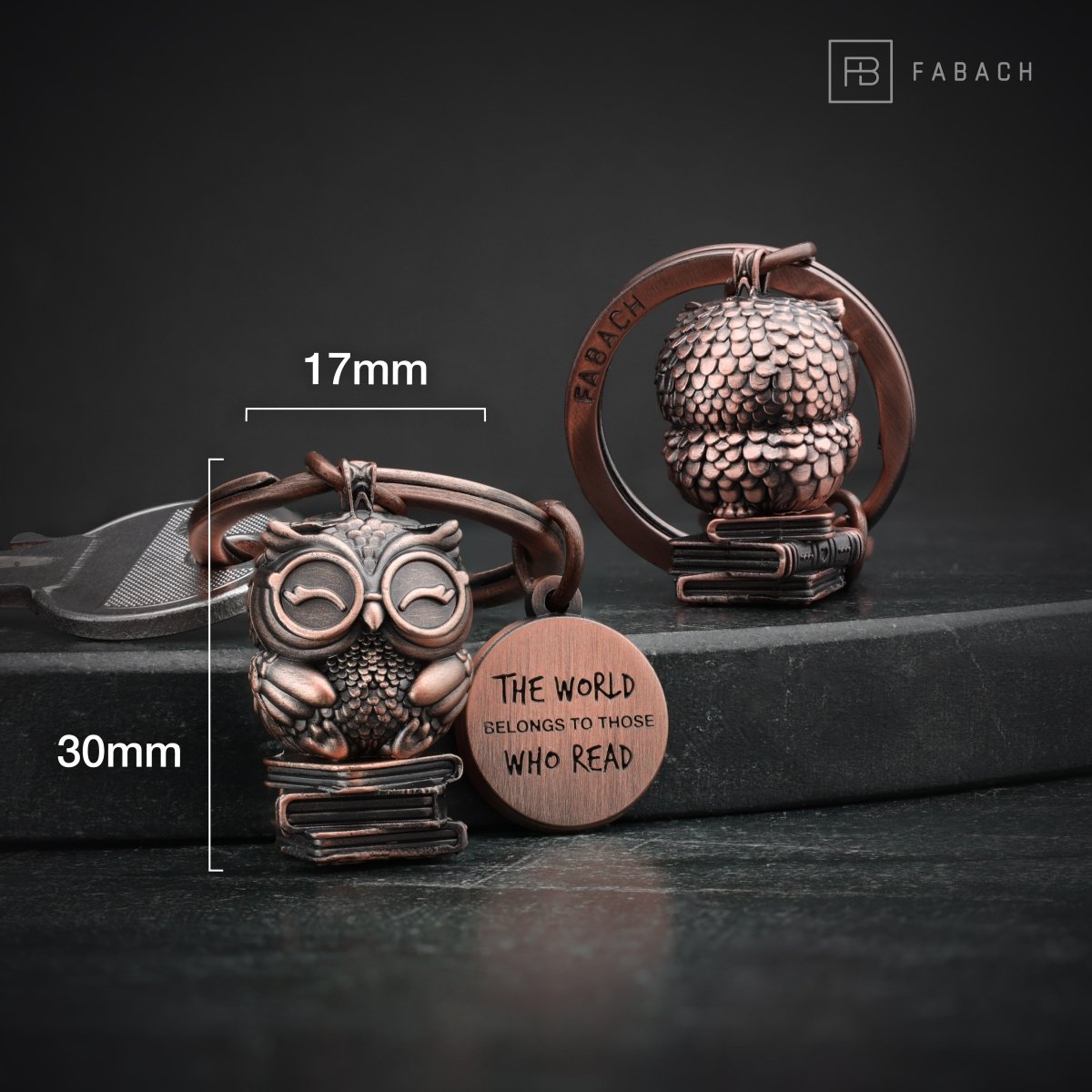 "Le monde appartient à ceux qui lisent" Porte-clés hibou livre hibou "Bookowl" avec gravure - porte-bonheur chouette douce