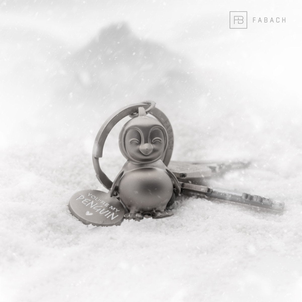 "You're my penguin" Pinguin Schlüsselanhänger "Frosty" mit Gravur - Süßer Pinguin Glücksbringer als Geschenk für Partner - FABACH#farbe_silber matt#botschaft_you're my penguin